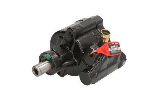 LAUBER Bomba de direção 55.5293 Bomba de direção assistida LAUBER Renault CLIO 55.5293
