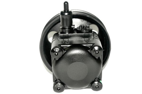 LAUBER Servo čerpadlo 55.0515 55.0515 Čerpadlo posilňovača riadenia VOLVO 440 K LAUBER