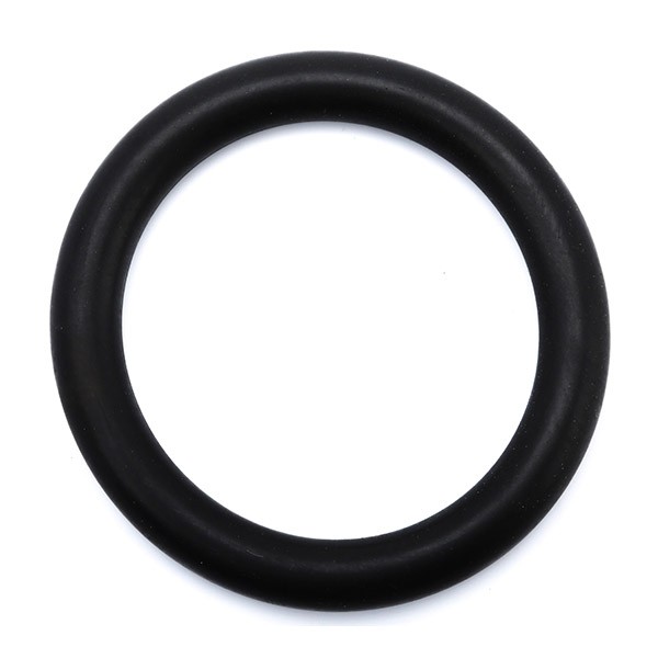 AJUSA Blīve, Ieplūdes kolektors 16072500 AJUSA 16072500 Ieplūdes kolektora blīve Fiat 600 orģinālās