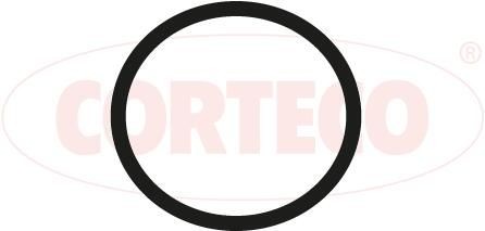 CORTECO Τσιμούχα, πολλαπλή εισαγωγής 450533H Τσιμουχα πολλαπλής εισαγωγής CORTECO Citroën C4 450533H