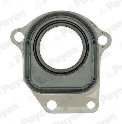 PAYEN Paraolio, Albero intermedio NC044 PAYEN NC044 Paraolio, Albero intermedio FORD Fiesta Mk5 Van 1.4 TDCi 68 CV 2005