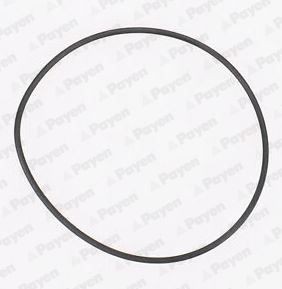 PAYEN Pakning, vandpumpe KA845 KA845 Vandpumpe pakning TOYOTA HIGHLANDER PAYEN