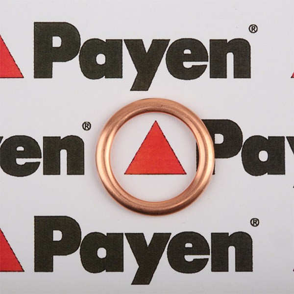 PAYEN Ölablaßschraube Dichtung PA349 PA349 Verschlussschraube FIAT FIORINO PAYEN kaufen