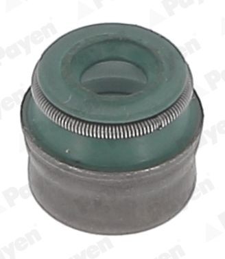 PAYEN Klepseals PA5041 PAYEN PA5041 Klepseals Chevrolet Spark m300 prijs