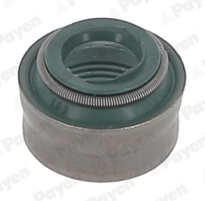 PAYEN Blīvgredzens, Vārsta kāts PB180 PAYEN PB180 Blīvgredzens vārsta kāts Rover 75 orģinālās
