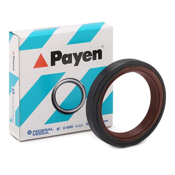 PAYEN Paraolio albero a gomiti NF843 NF843 costo Paraolio albero motore PAYEN ISUZU TRAGA
