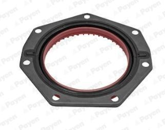 PAYEN Retentor, cambota NF883 NF883 PAYEN Retentor de virabrequim Renault baratos