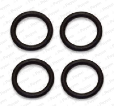 PAYEN Gasket Set, intake manifold HA5029 PAYEN HA5029 KIA OPTIMA inlet manifold gasket replacement
