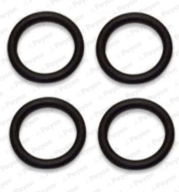 PAYEN Packning, insugs- / avgasgrenrör HA5031 PAYEN HA5031 Grenrörspackning PEUGEOT 3008 (T8)