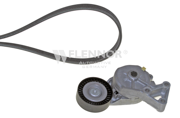 FLENNOR Jeu de courroies trapézoïdales à nervures F916DPK1195 F916DPK1195 Courroie d'accessoire SEAT ALTEA FLENNOR