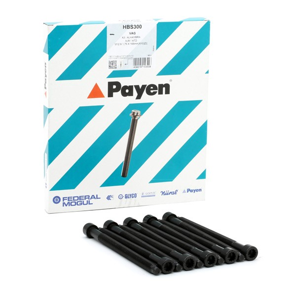 PAYEN Kit bulloni testata HBS300 HBS300 costo Bulloni testata SKODA YETI PAYEN