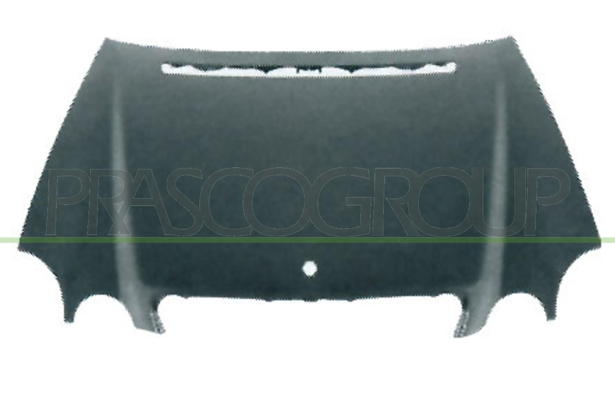 PRASCO Kapota ME0393100 PRASCO ME0393100 Predna kapota 300 SL Gullwing Kupé (W198) cena