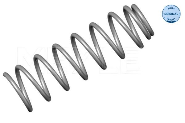 MEYLE Chassisveer 100 051 0002 MEYLE Springveer SKODA 100 051 0002
