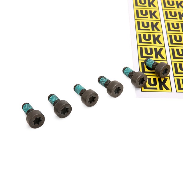 LuK Kit bulloni, Volano 411 0166 10 LuK 411 0166 10 Vite del volano FORD prezzi originali
