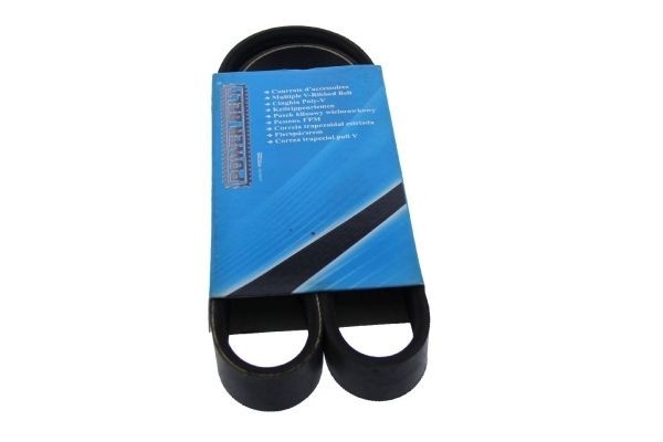 MAPCO Courroie Poly-V 260935 prix Courroie striée Poly-V Toyota _CV1_, _XV1_, _V1_ 260935 MAPCO