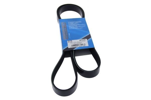 MAPCO Keilrippenriemen 261445 Flachriemen MAPCO Mini COUNTRYMAN 261445