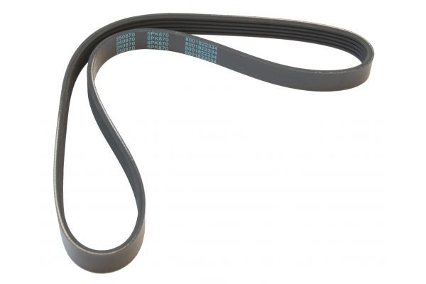 MAPCO Multirem 250870 Byta Multirem ROVER 75 pris MAPCO 250870