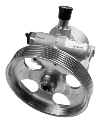 ZF Parts Pompa idraulica, sterzo 8001 958 8001 958 costo Pompa idroguida VOLVO S40 ZF Parts