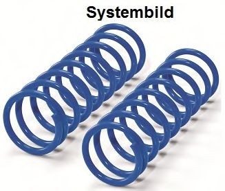WESTFALIA Molla supplementare 404333500001 404333500001 Molle WESTFALIA MERCEDES-BENZ Serie 123 costo
