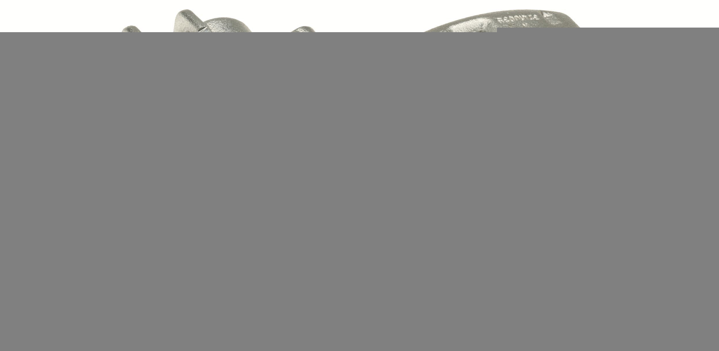 Δαγκάνα φρένων TRW BHS1296E TRW BHS1296E Δαγκανα φρενου PEUGEOT EXPERT 2022