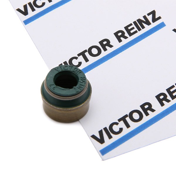 REINZ Valve stem seal 70-26058-00 REINZ 70-26058-00 CITROЁN ACADIANE valve stem seals cost
