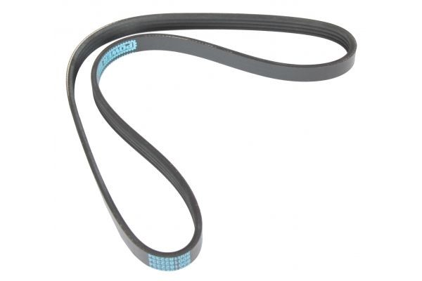 MAPCO Ozubený klinový remeň 240855 240855 Ozubený klinový remeň LAND ROVER DISCOVERY MAPCO