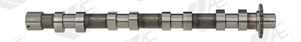 AE Camshaft CAM748 CAM748 AE engine camshaft for PEUGEOT