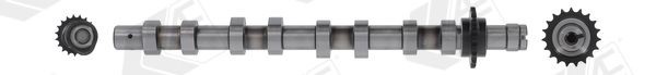 AE Nukkvõll CAM746 AE CAM746 Nukkvõllikomplekt 323F V Hatchback (BA) hind