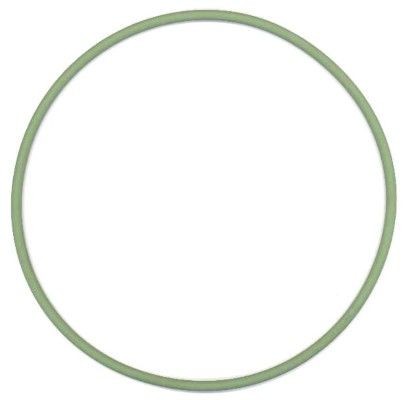 ELRING O-Ring, cylinder liner 825.751 825.751 ELRING cylinder sleeve for FIAT COUPE