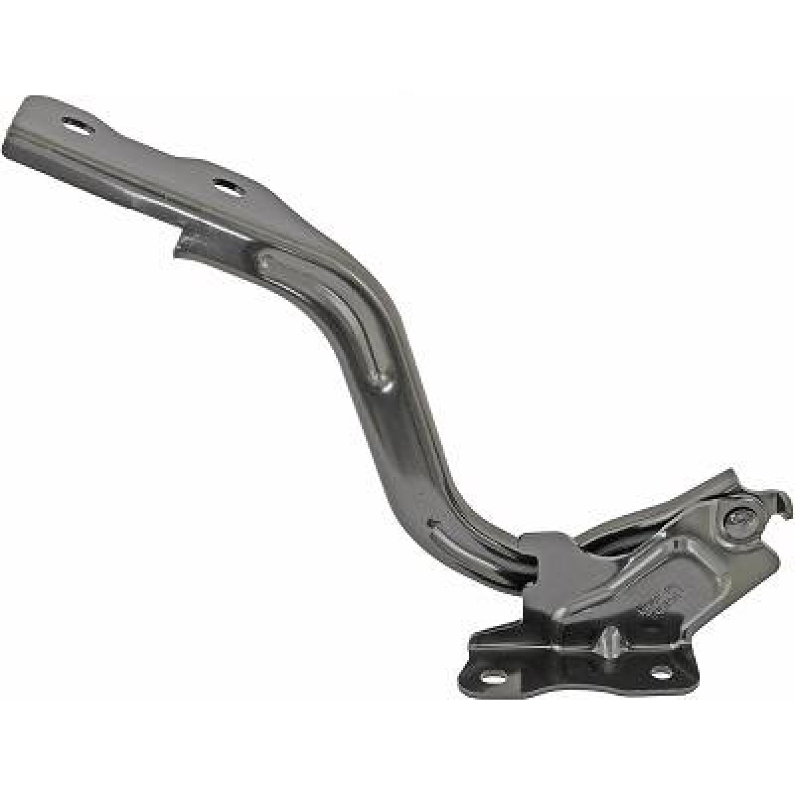 Hængsel, motorhjelm DIEDERICHS 6414019 DIEDERICHS 6414019: Motorhjelm Suzuki KIZASHI 2024