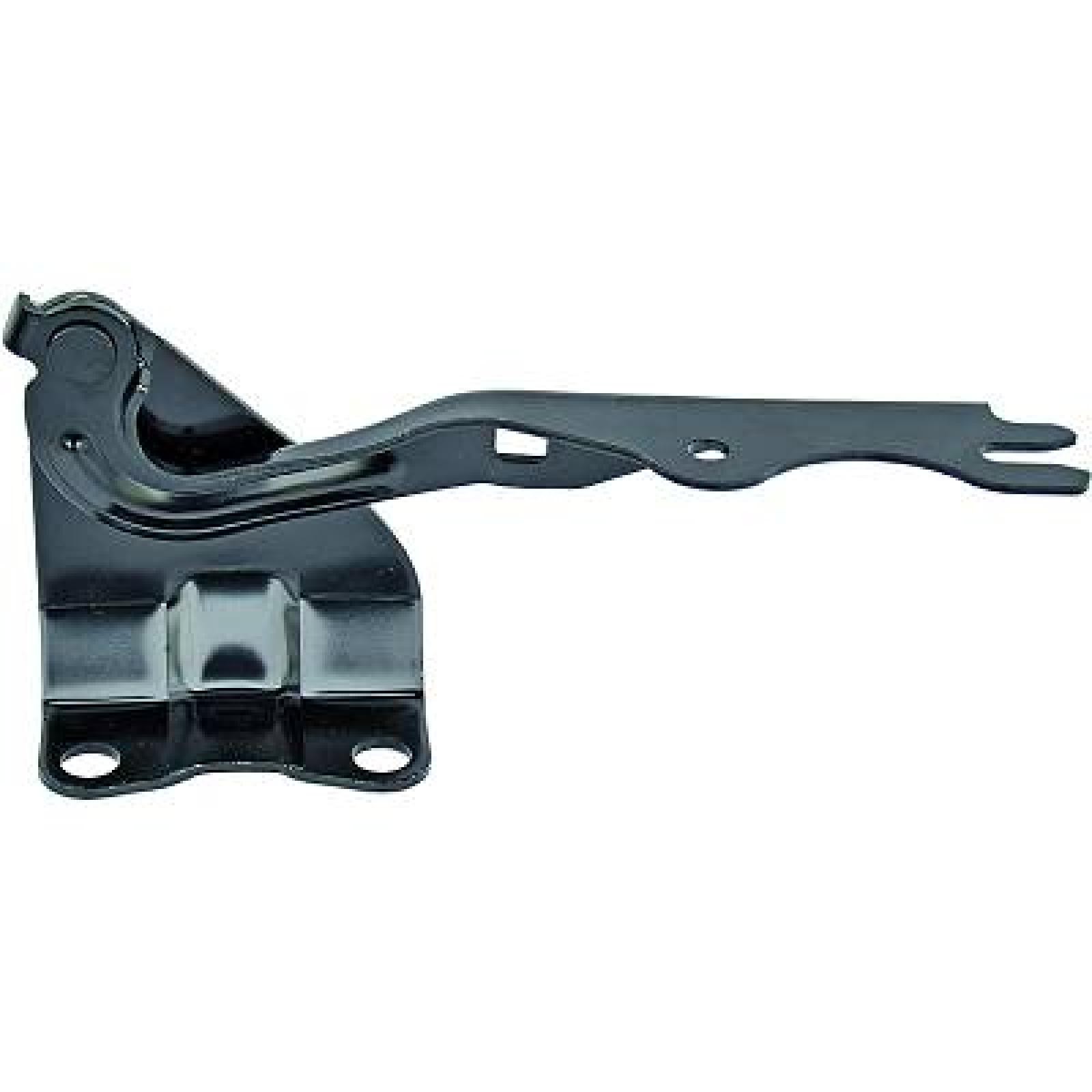 Šarnīrs, Motora pārsegs DIEDERICHS 5605019 DIEDERICHS 5605019 Motora pārsegs MAZDA BT-50 2020