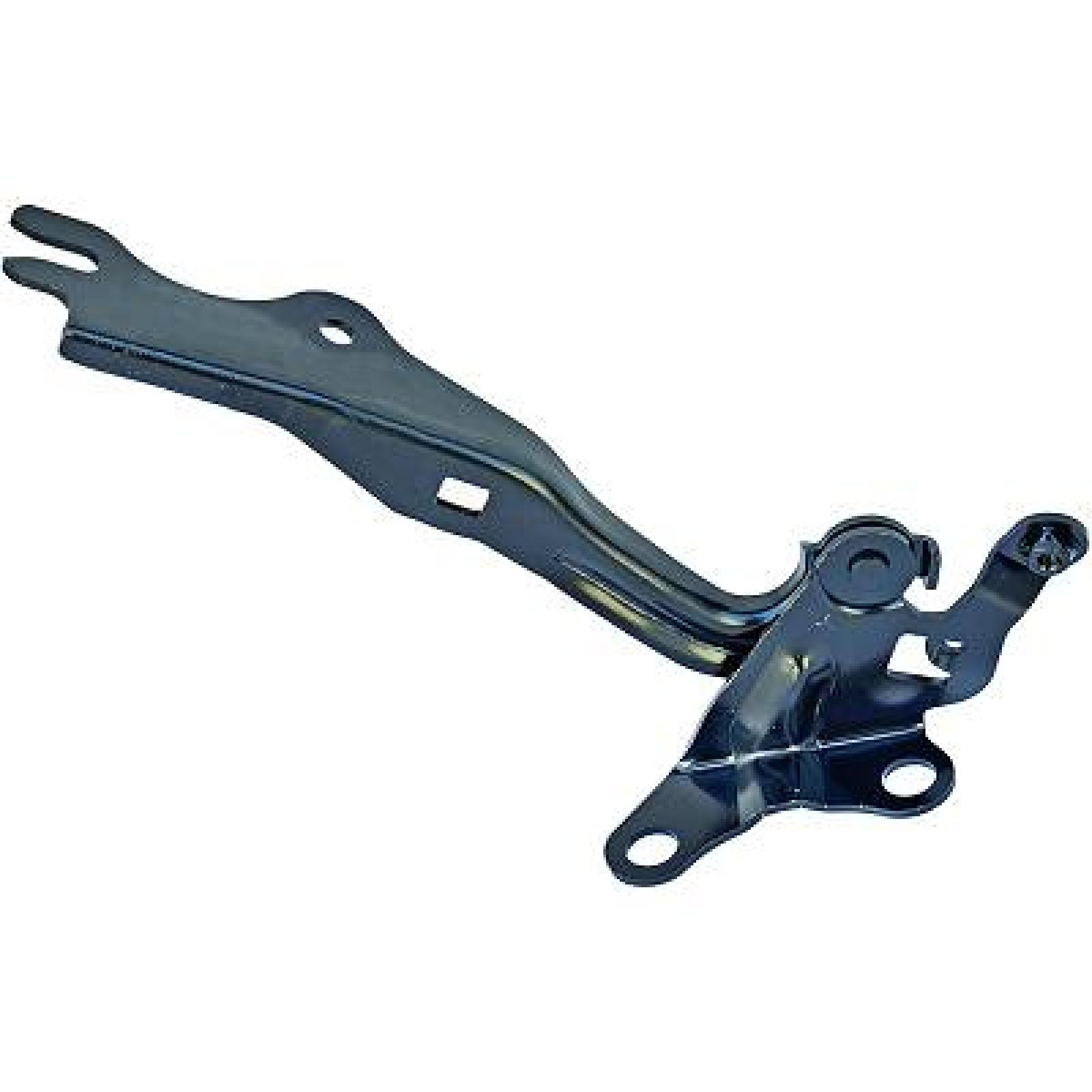 DIEDERICHS Hinge, bonnet 5625019 DIEDERICHS 5625019 genuine BT-50 Pickup (CD, UN) bonnet price