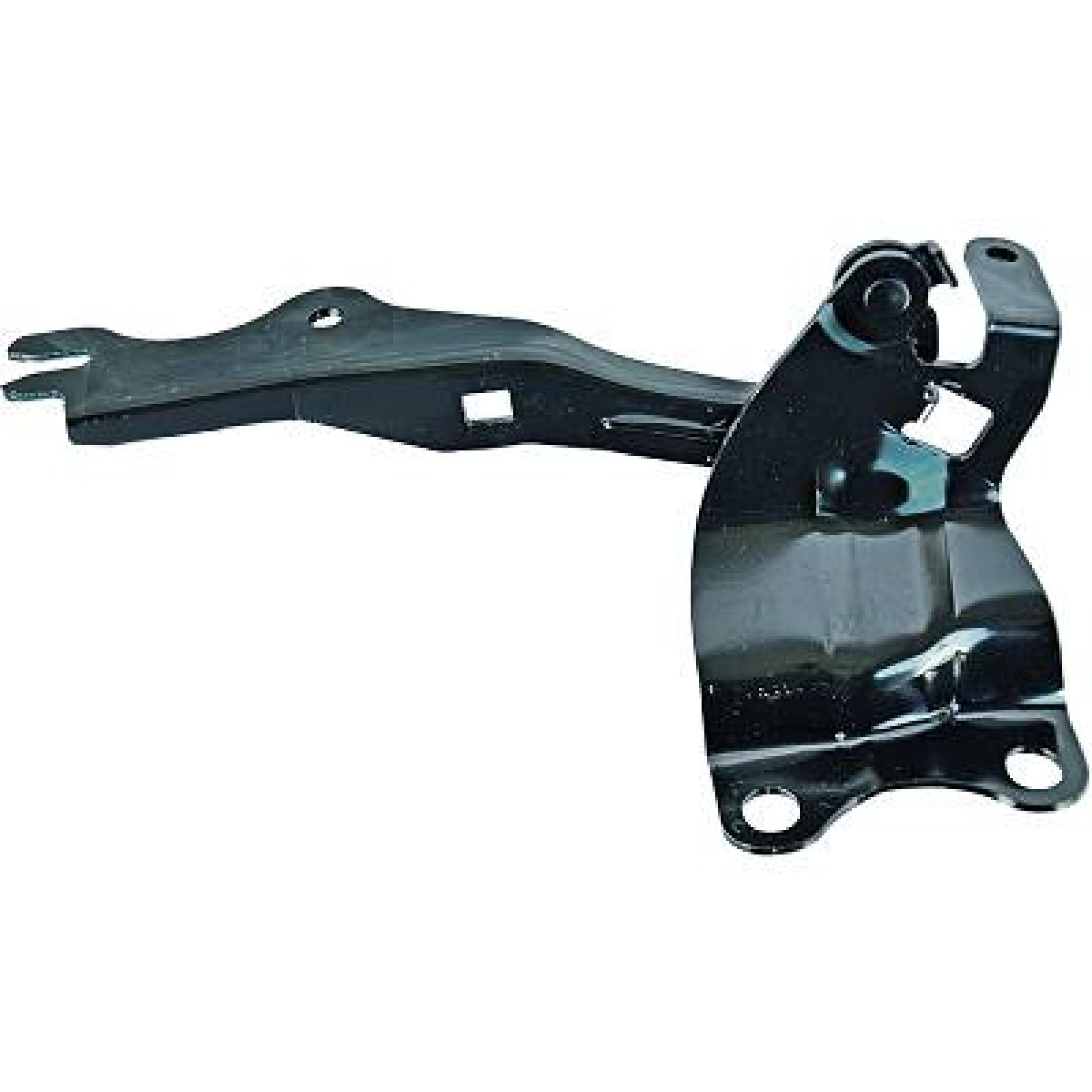 DIEDERICHS Hengsel, motorpanser 5619019 5619019 DIEDERICHS Panser Mazda billige