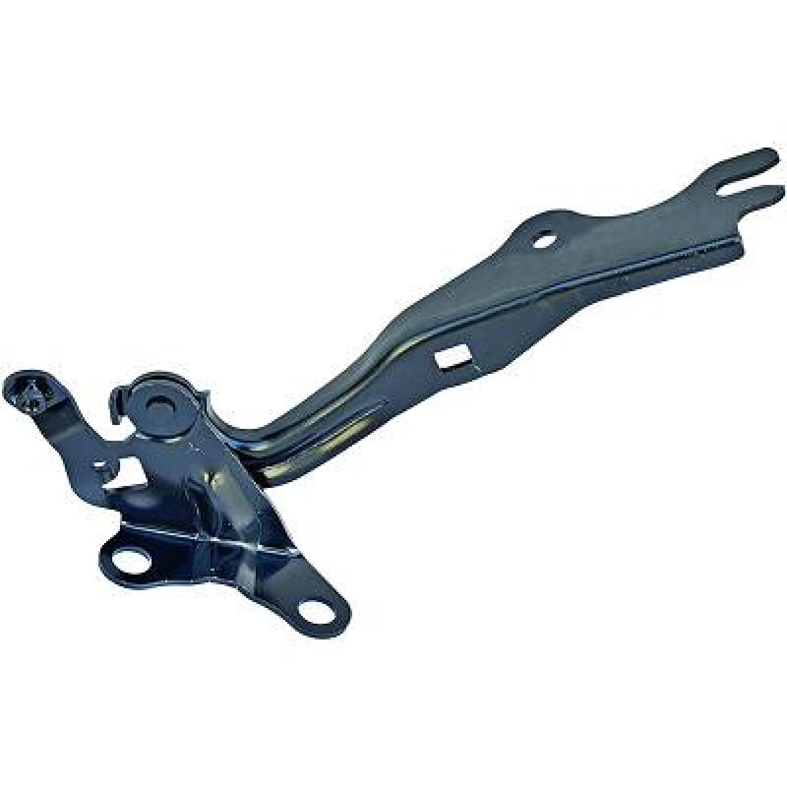 DIEDERICHS Hengsel, motorpanser 5625018 DIEDERICHS Motorpanser MAZDA 5625018