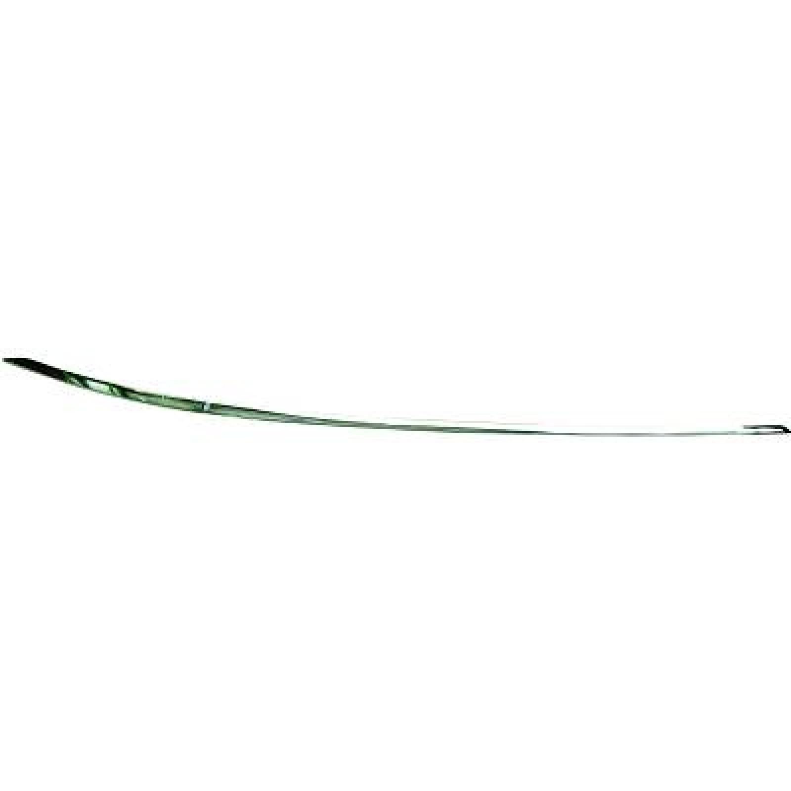 DIEDERICHS Friso de para-choques 1616063 DIEDERICHS 1616063 originais Friso de pára-choques Mercedes S212 custo