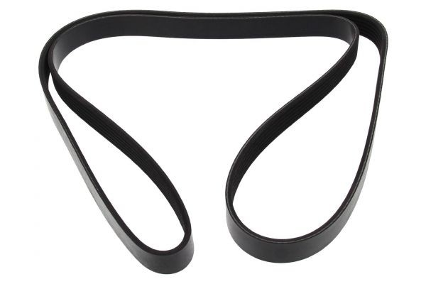 MAPCO Serpentine belt 261590 Volkswagen PASSAT MAPCO serpentine belt 261590