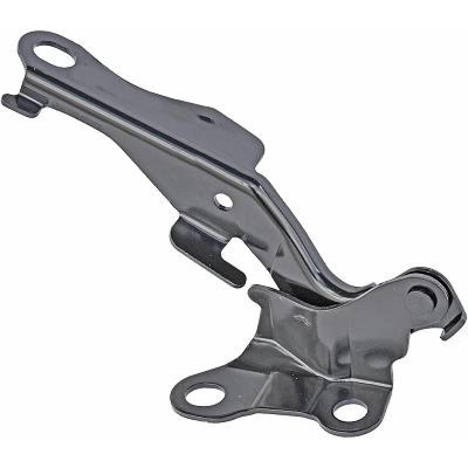 DIEDERICHS Cerniera, Cofano motore 6624019 DIEDERICHS 6624019 Cofano motore Avalon Sedan (_X1_) prezzo