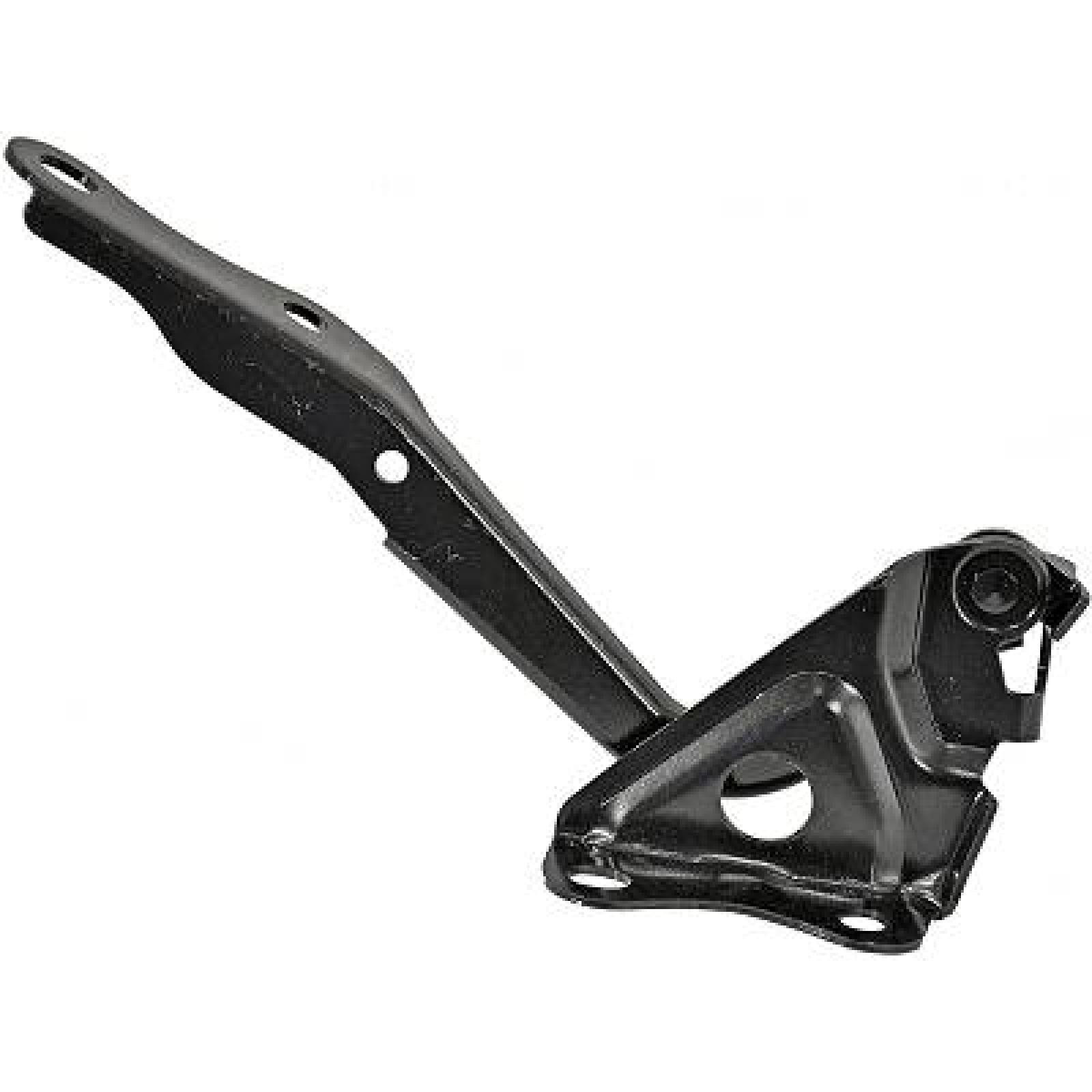 DIEDERICHS Hengsel, motorpanser 6687019 DIEDERICHS 6687019 Panser TOYOTA Proace City Van til en fordelagtig pris