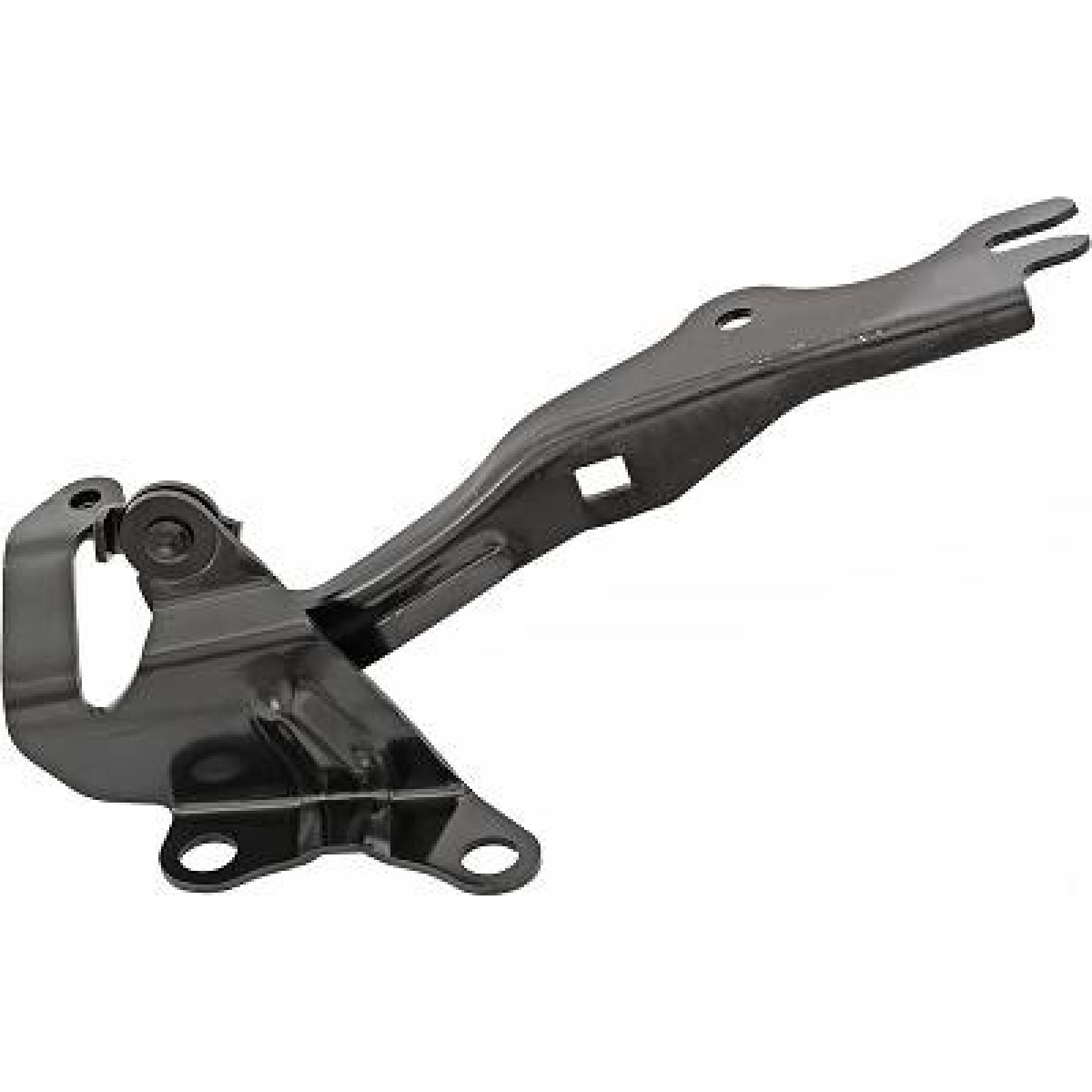 DIEDERICHS Charnière, capot-moteur 5618018 DIEDERICHS 5618018 Capot Mazda Demio DW d'origine prix