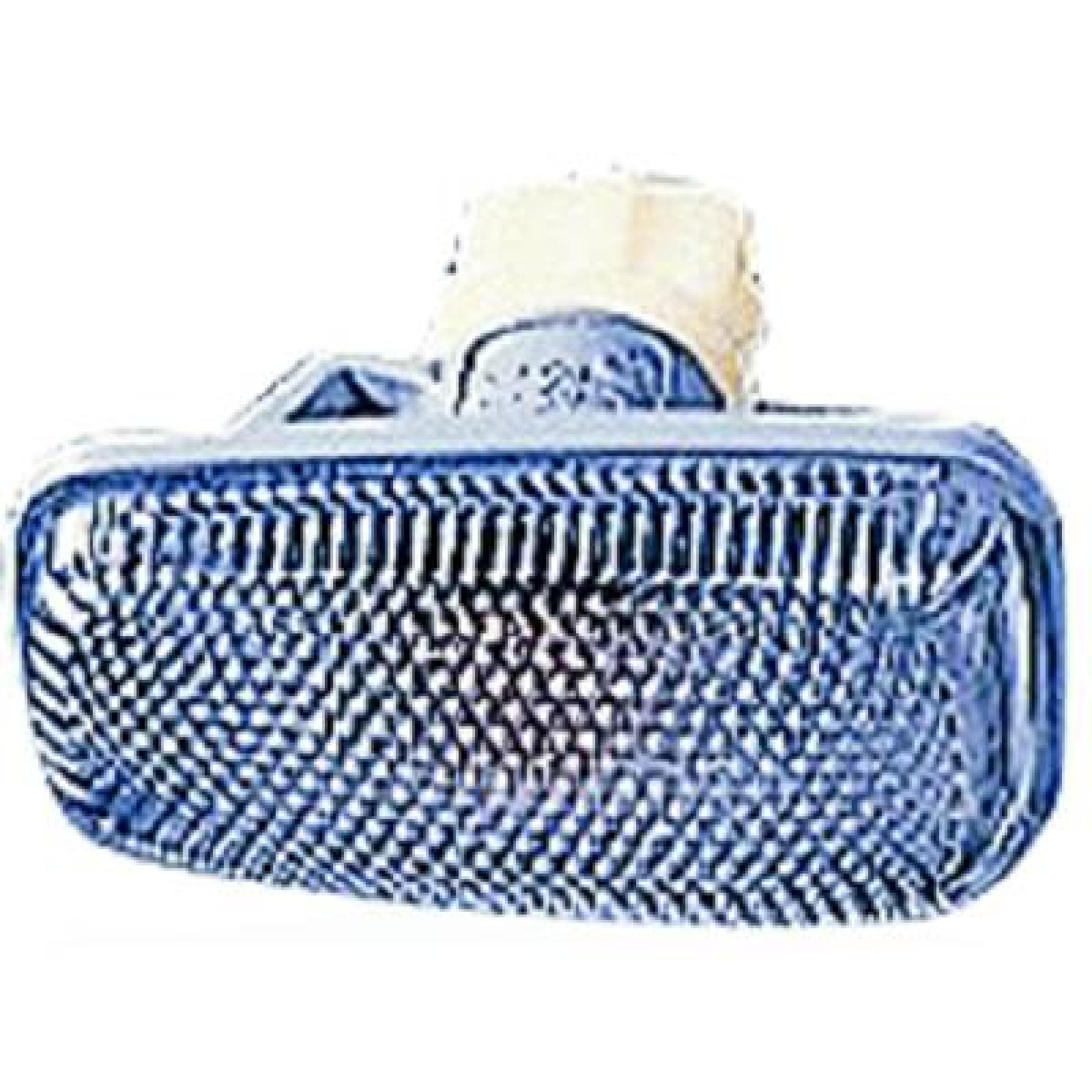 DIEDERICHS Blinklys 4035079 Forblinklys og bagblinklys DIEDERICHS MAREA 4035079 billig