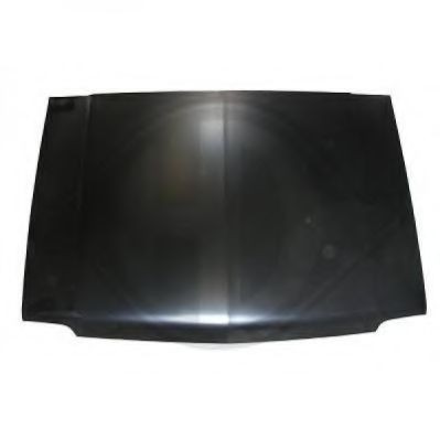 Motorhaube DIEDERICHS 5800000 DIEDERICHS 5800000: Haubenschloss Mitsubishi COLT 2003