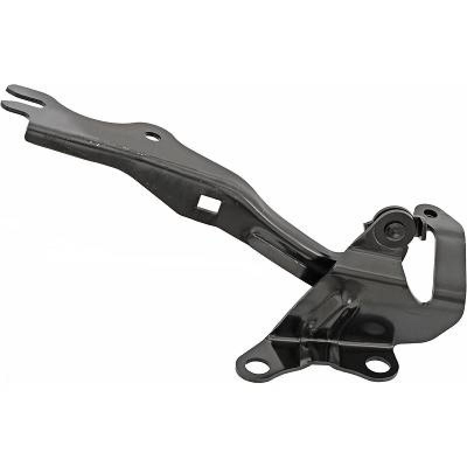 Šarnīrs, Motora pārsegs DIEDERICHS 5618019 DIEDERICHS 5618019: Motora pārsegs Mazda BT-50 2020