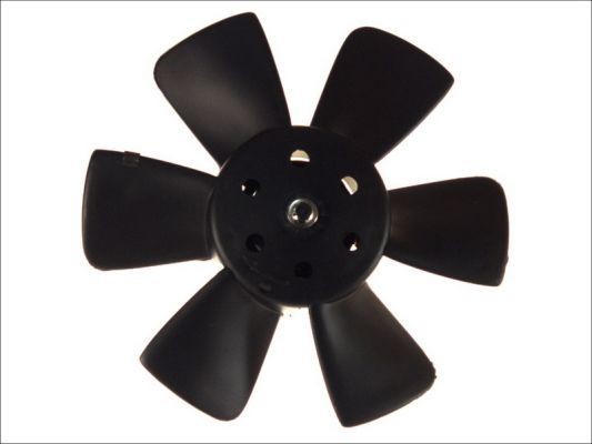 THERMOTEC Fan, radiator D8W013TT THERMOTEC D8W013TT Seat Cordoba 6K1 radiator cooling fan replacement