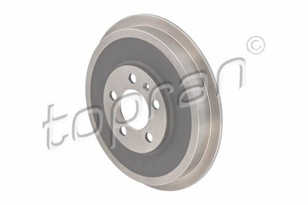 TOPRAN Bromstrumma 113 171 113 171 TOPRAN bromstrummor PEUGEOT BOXER