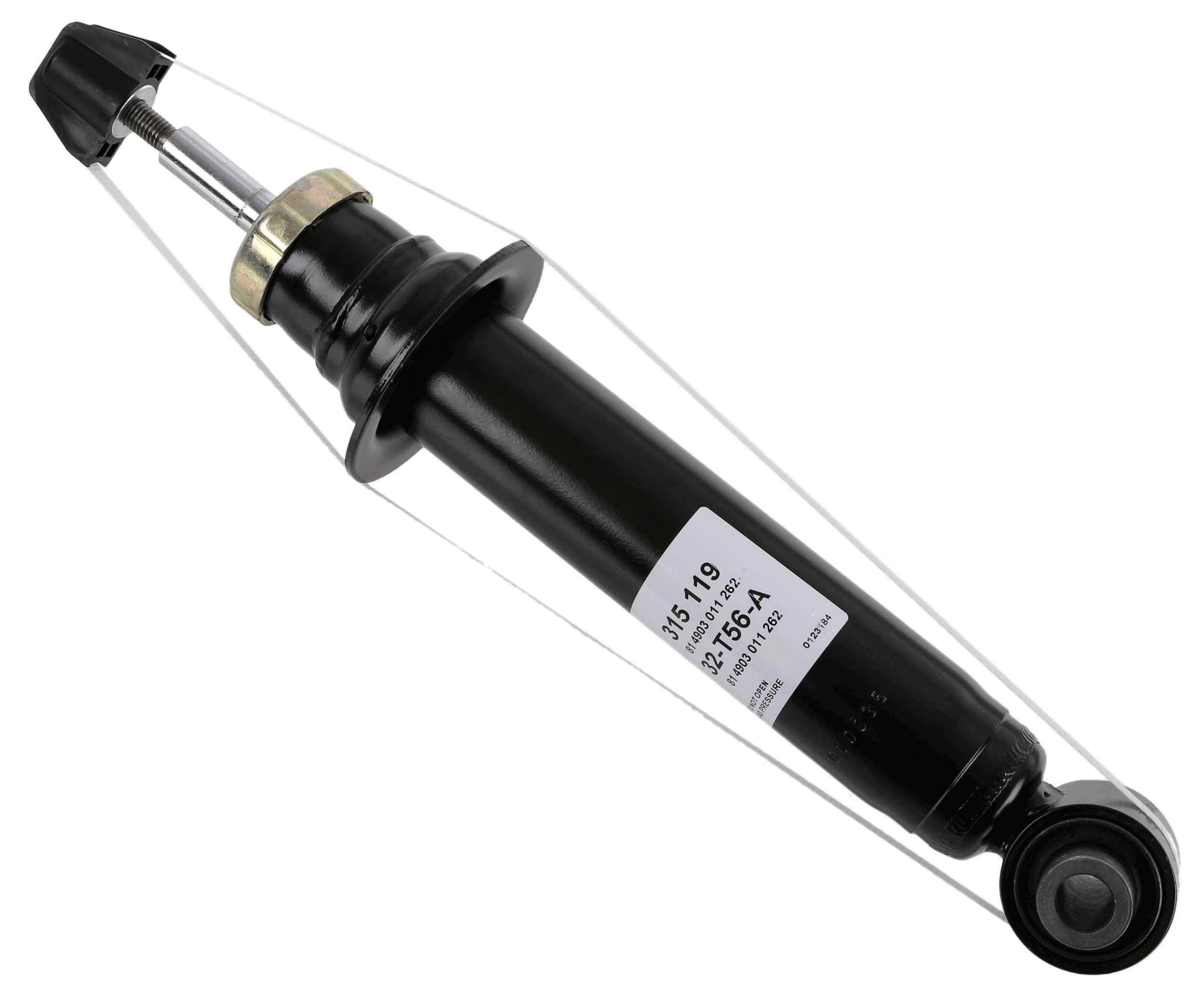 SACHS Amort 315 119 SACHS 315 119 Amort