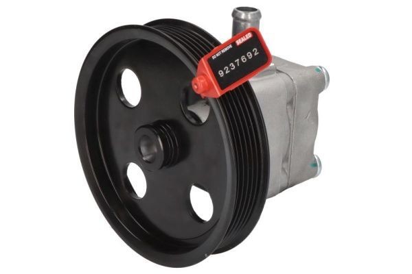 LAUBER Servopumpe 55.5021 LAUBER 55.5021 Servostyringspumpe Renault SUPER 5 originale