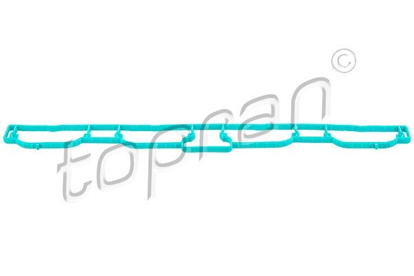 TOPRAN Τσιμούχα, πολλαπλή εισαγωγής 113 160 Τσιμουχα πολλαπλής εισαγωγής TOPRAN Skoda FABIA 113 160