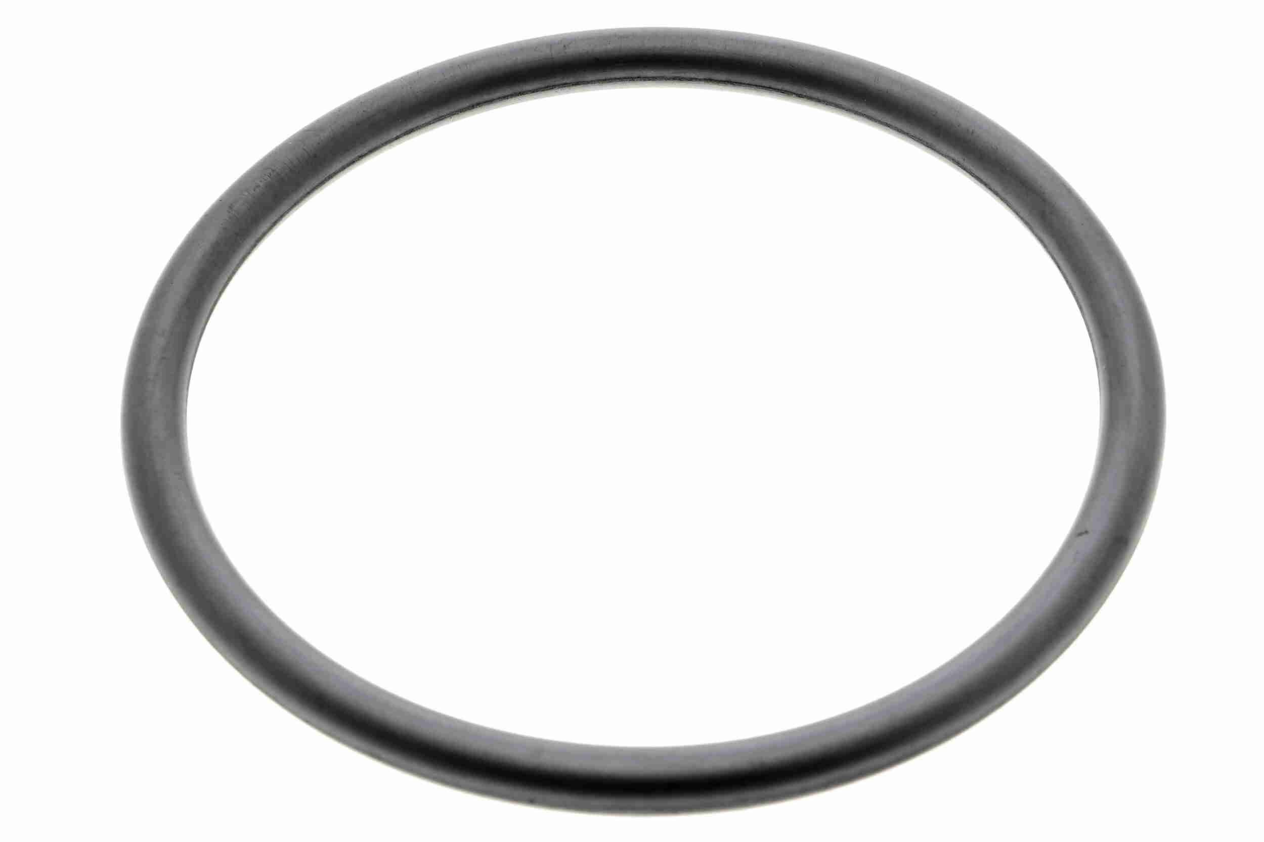 VAICO Guarnizione, Carter filtro aria V10-2571 VAICO V10-2571 Supporto, carter filtro aria Freelander 2 prezzo