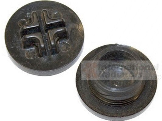 VAN WEZEL Låsplugg, kylvätskefläns 99002518 99002518 VAN WEZEL kylmedelsfläns PEUGEOT J5