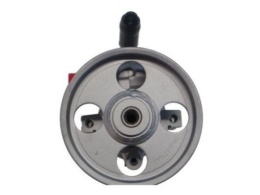 SPIDAN Pompa idraulica, sterzo 53926 53926 Pompa idroguida SPIDAN CITROËN DS4 costo